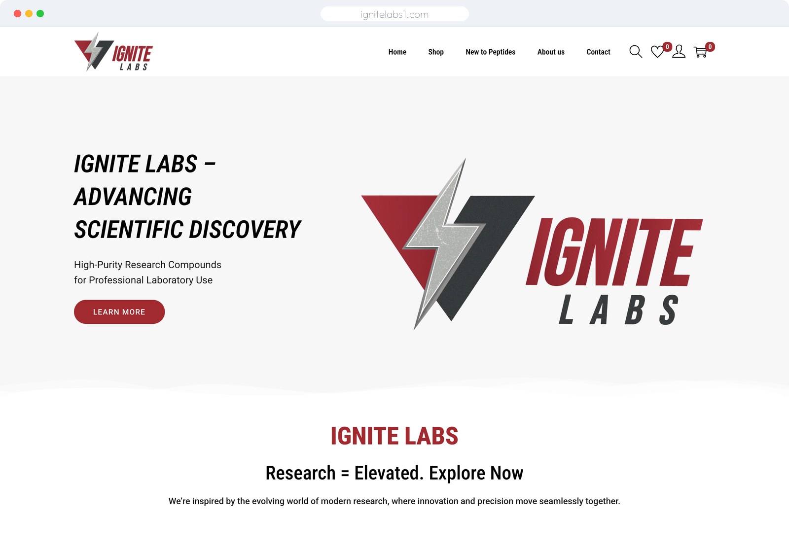 Ignite Labs website built by SketchVolt — ignitelabs1.com